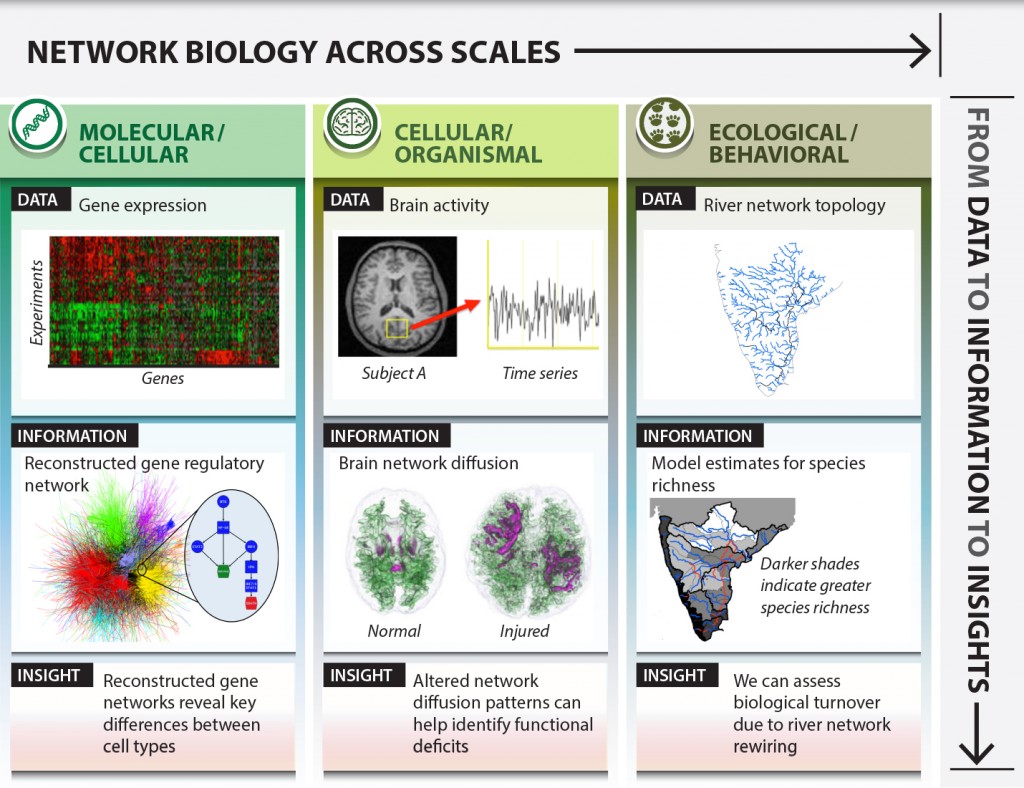 COMBINE applies the methods of network science (developed largely within the physics, applied mathematics, and computer science communities) to the study of biological systems from microscopic to macroscopic scales.